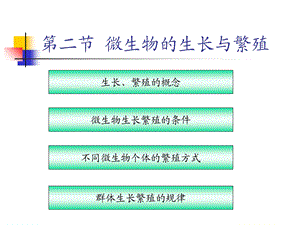 微生物的生长繁殖.ppt