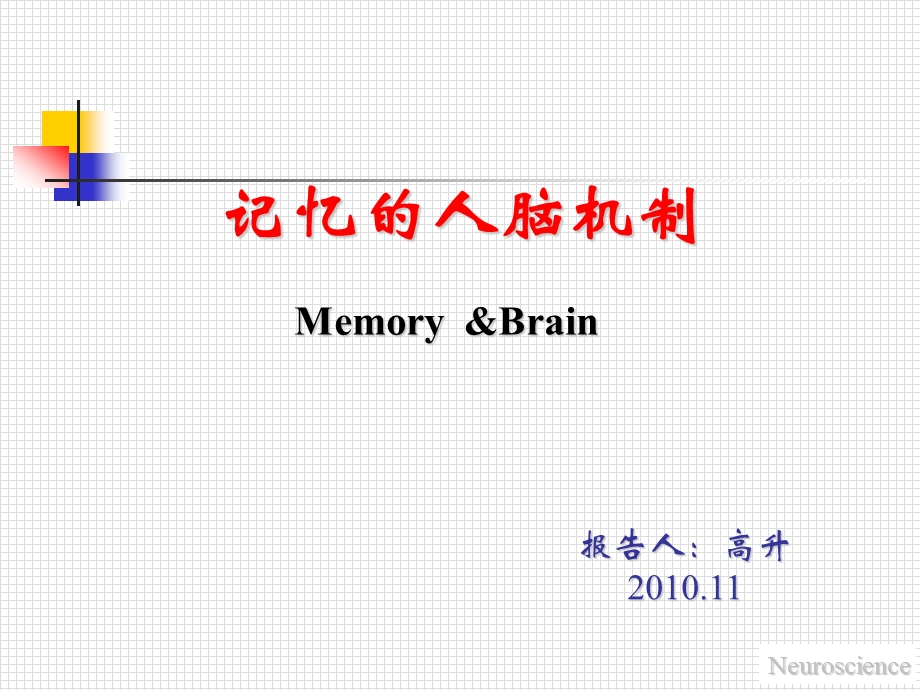 记忆的人脑机制.ppt_第1页