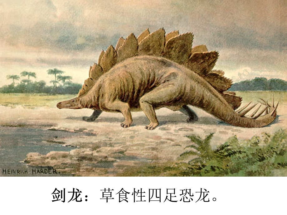 恐龙的灭绝PPT.ppt_第3页