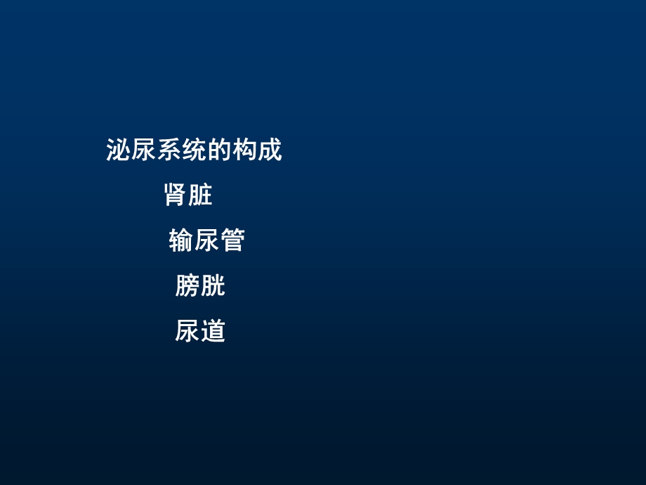 肾脏病总论.ppt_第2页