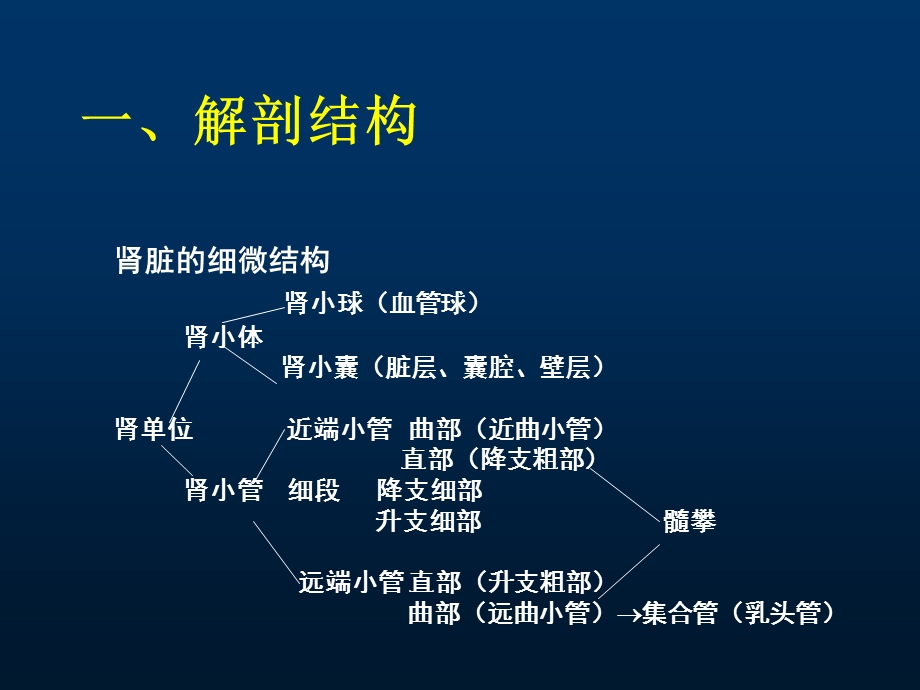 肾脏病总论.ppt_第3页