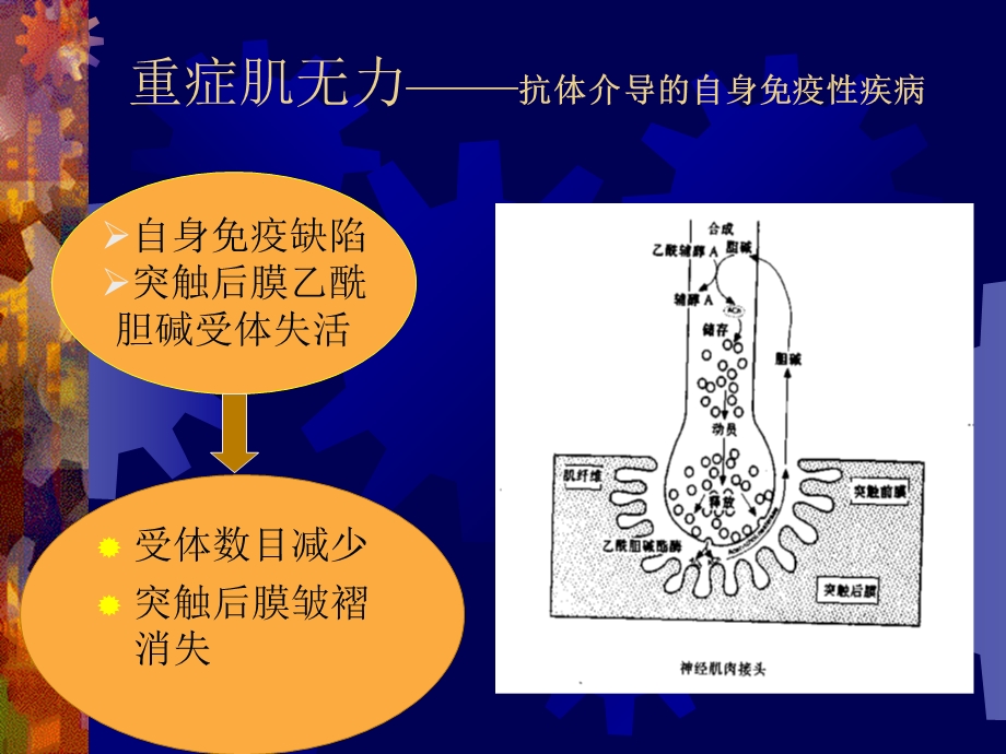 神经肌肉疾病患者的麻醉、讲课ppt.ppt_第2页