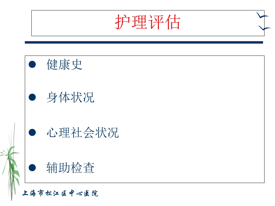 循环系统评估与护理.ppt_第2页