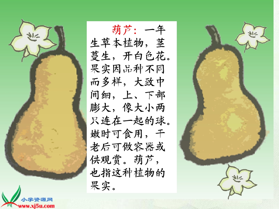 我要的是葫芦.ppt_第2页