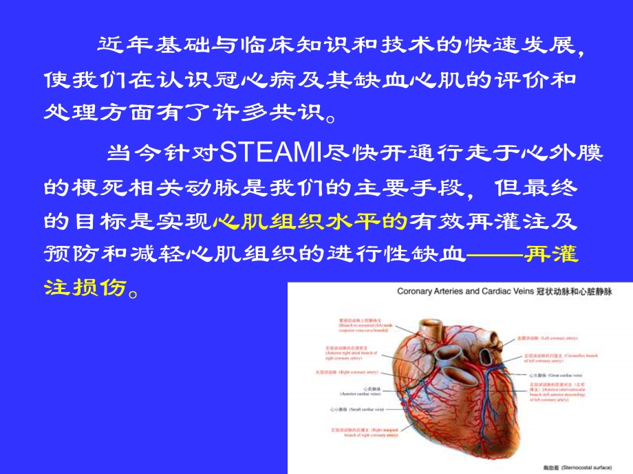 缺血心肌再灌注不同评价指标的临床意义.ppt_第2页