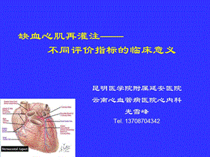 缺血心肌再灌注不同评价指标的临床意义.ppt