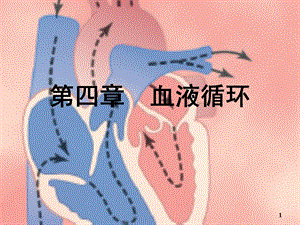 生理学课件 血液循环 临床医学本科 人卫第八版 .ppt