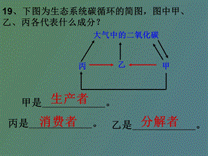 正式生态系统的类型.ppt