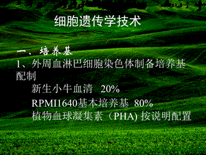 细胞遗传学技术.ppt