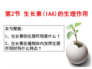 植物生长素生理作用.ppt