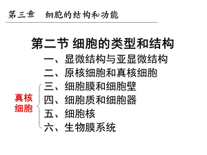 细胞器讲解 [自动保存的].ppt