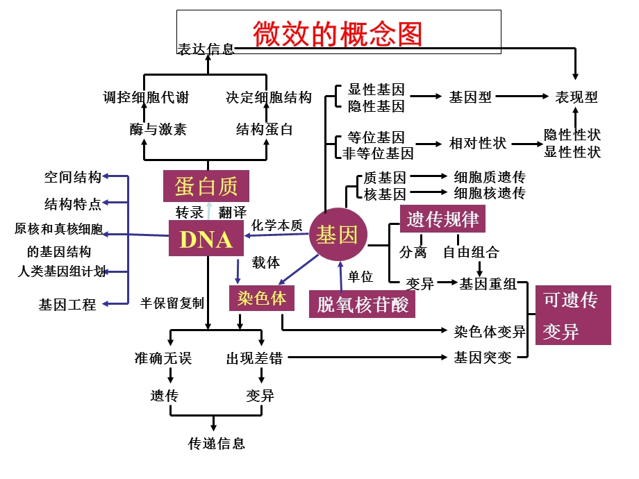 概念图的制作方法.ppt_第2页