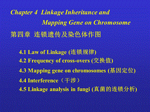 连锁遗传及染色体作图.ppt