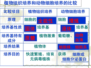 植物组织培养和动物细胞培养的比较.ppt