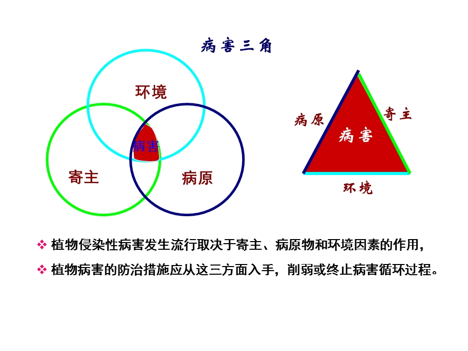 植物病害的防治.ppt_第3页