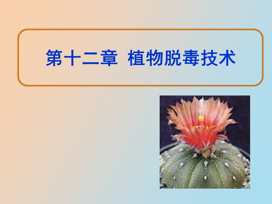 植物脱毒技术.ppt_第1页