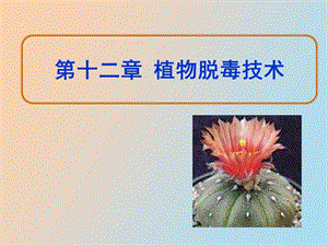 植物脱毒技术.ppt