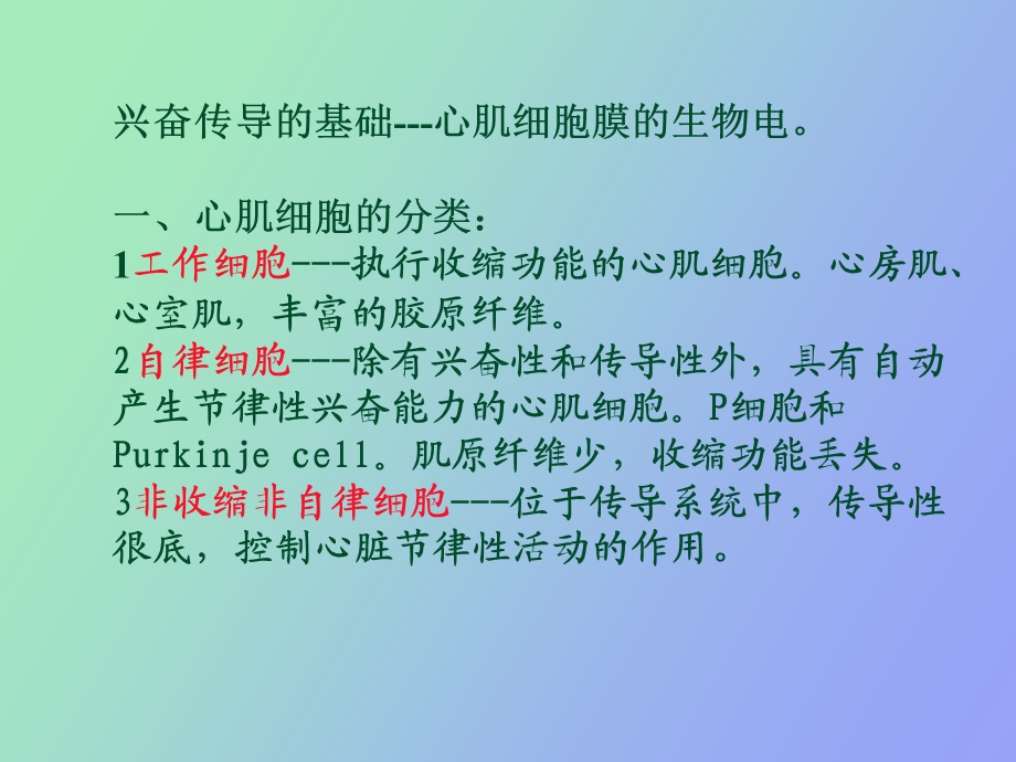 循环系统心肌电.ppt_第3页