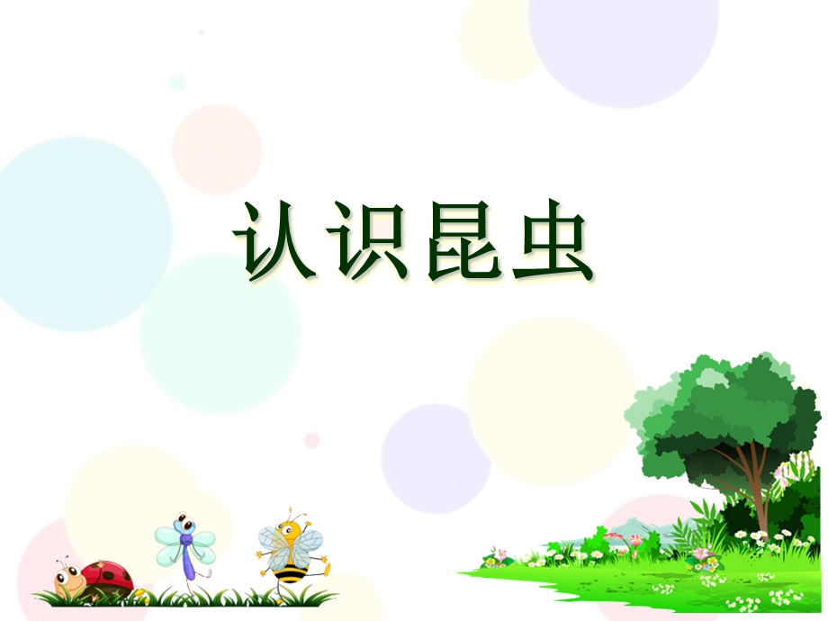 幼小衔接课件科学-认识昆虫.ppt_第1页