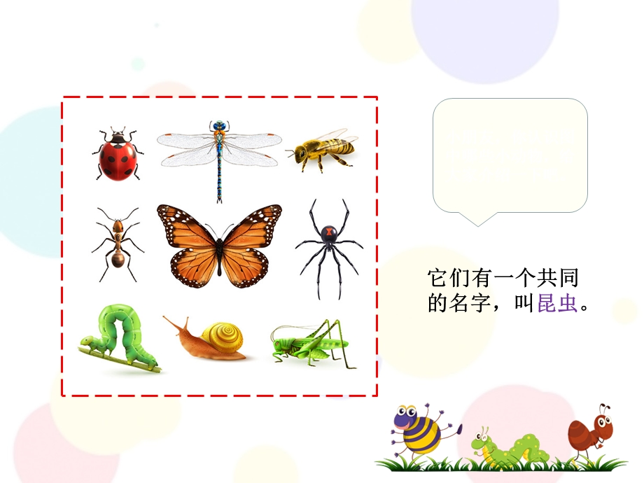 幼小衔接课件科学-认识昆虫.ppt_第2页