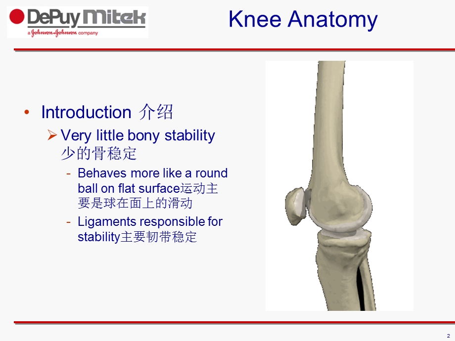 膝关节解剖.ppt_第2页