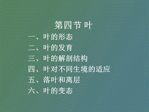 植物的营养器官叶.ppt