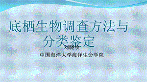 底栖生物调查方法与分类鉴定.ppt