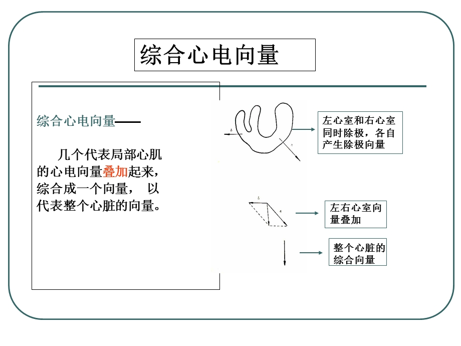 心电向量图基础.ppt_第3页