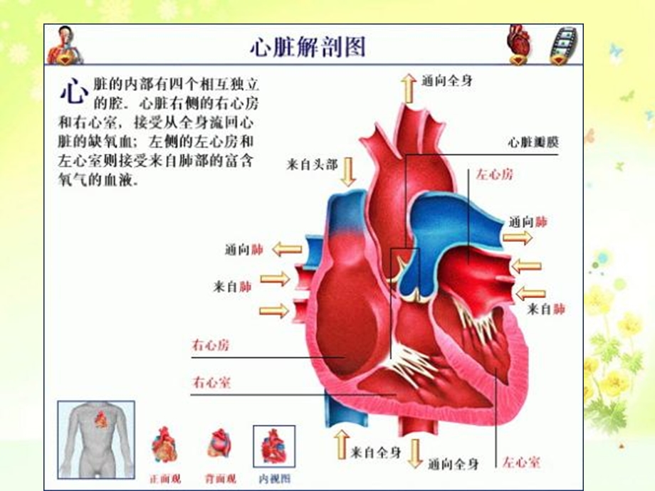 心脏生化标志物检验.ppt_第3页