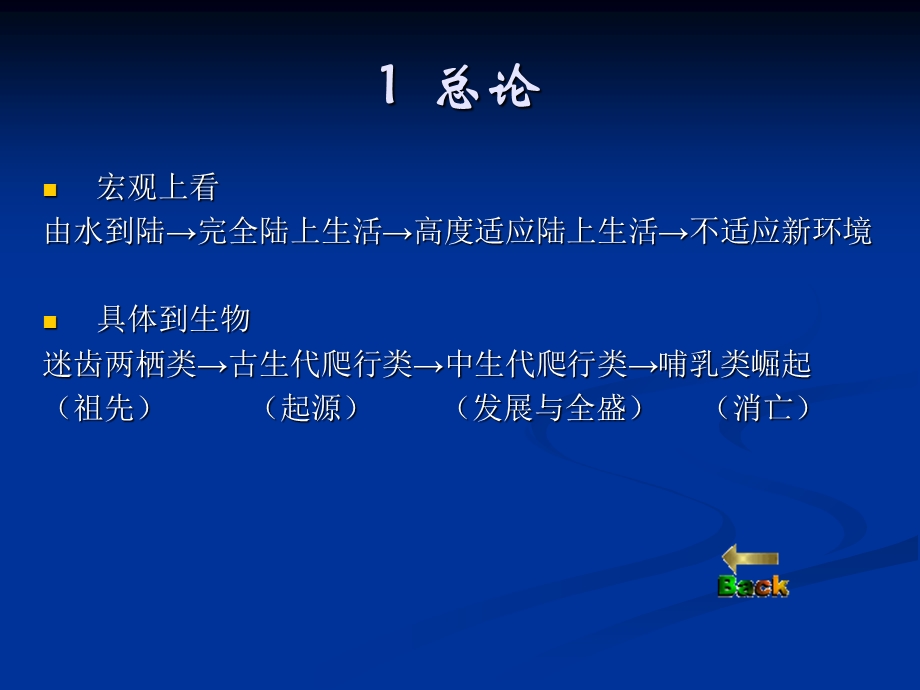 总论爬行动物起源爬行动物演化衰亡与新希望.ppt_第2页