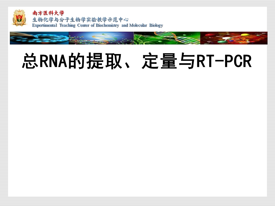 总RNA提取定量与RT-PCR.ppt_第1页