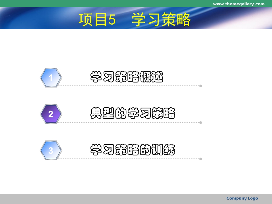 项目学习策略.ppt_第2页