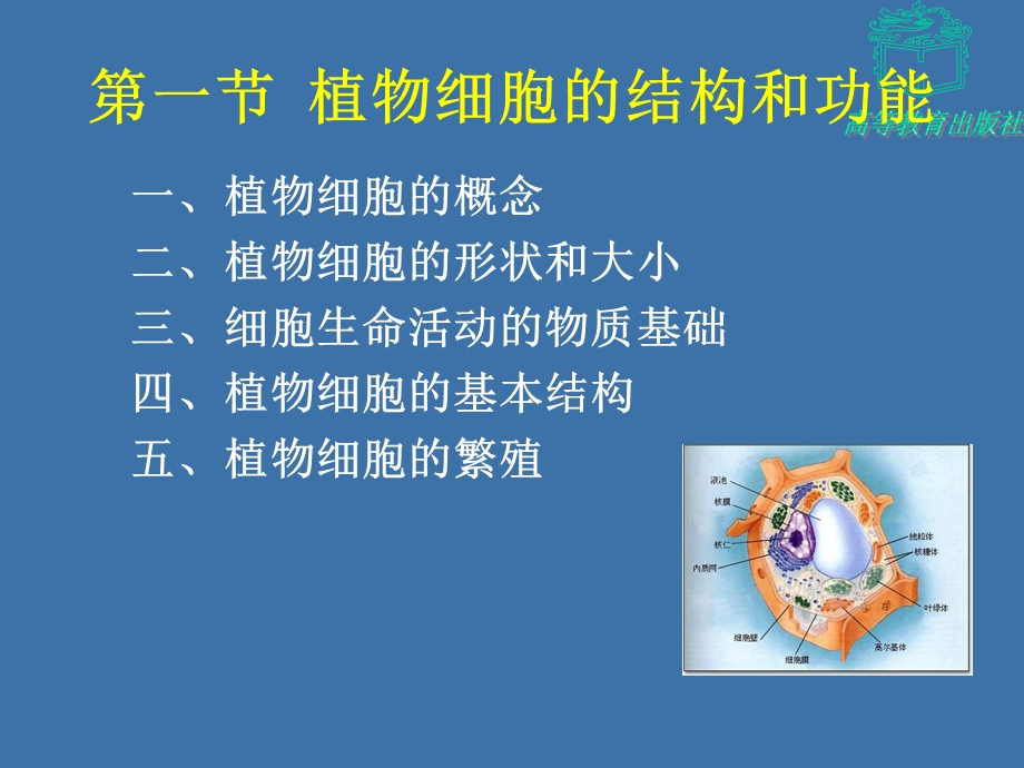 植物体的结构与功能.ppt_第2页