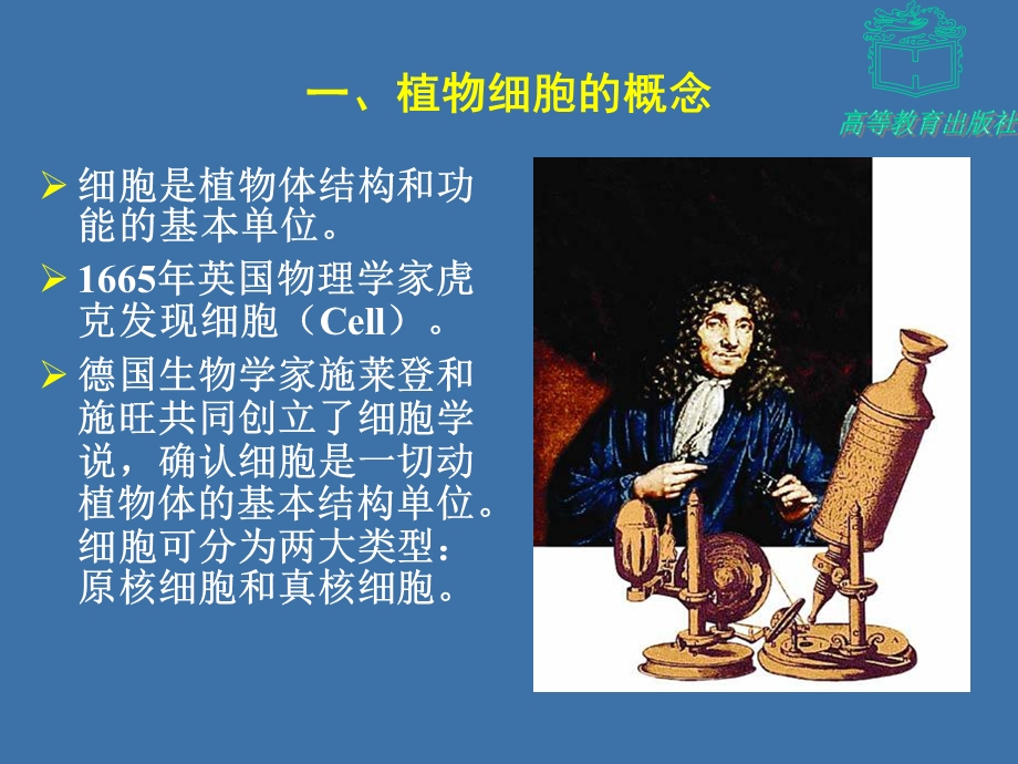 植物体的结构与功能.ppt_第3页