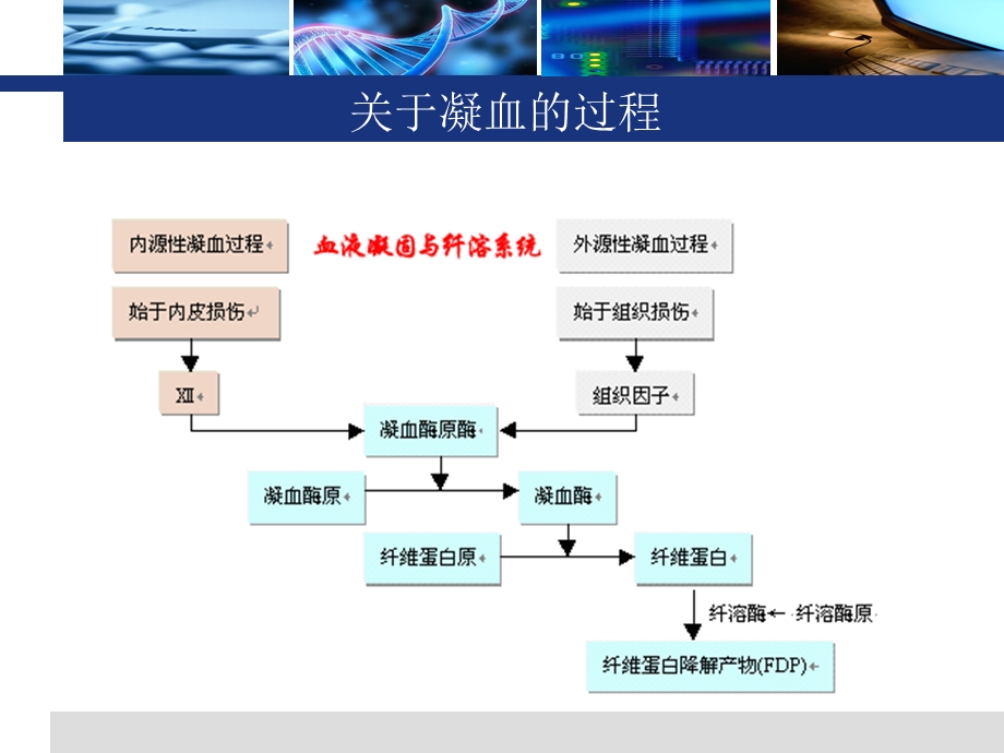 氨甲环酸在骨科中的应用情况.ppt_第2页