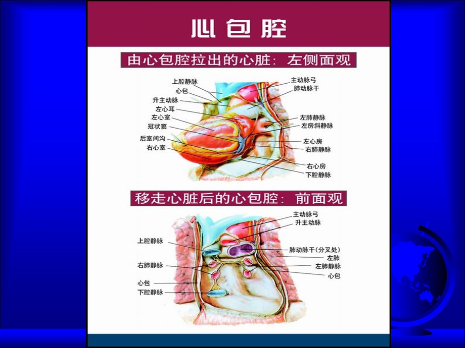 心包疾病、心脏肿瘤.ppt_第3页