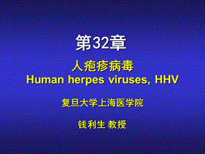 第32章疱疹病毒ppt课件.PPT