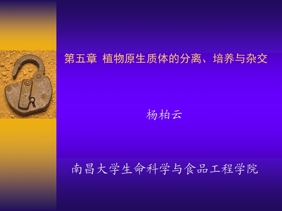 植物原生质体的分离与培养.ppt_第1页