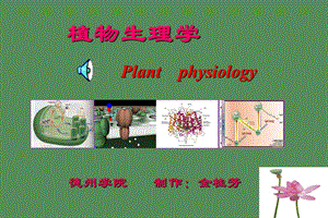 植物生理学之激素.ppt