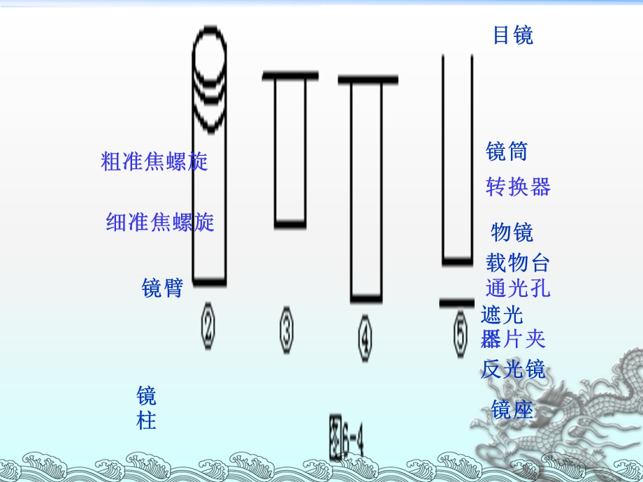 显微镜的使用(低倍镜、高倍镜).ppt_第3页