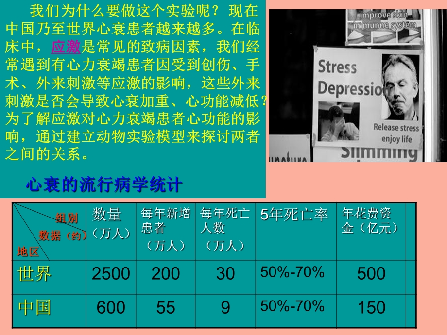 心衰模型动物实验.ppt_第2页