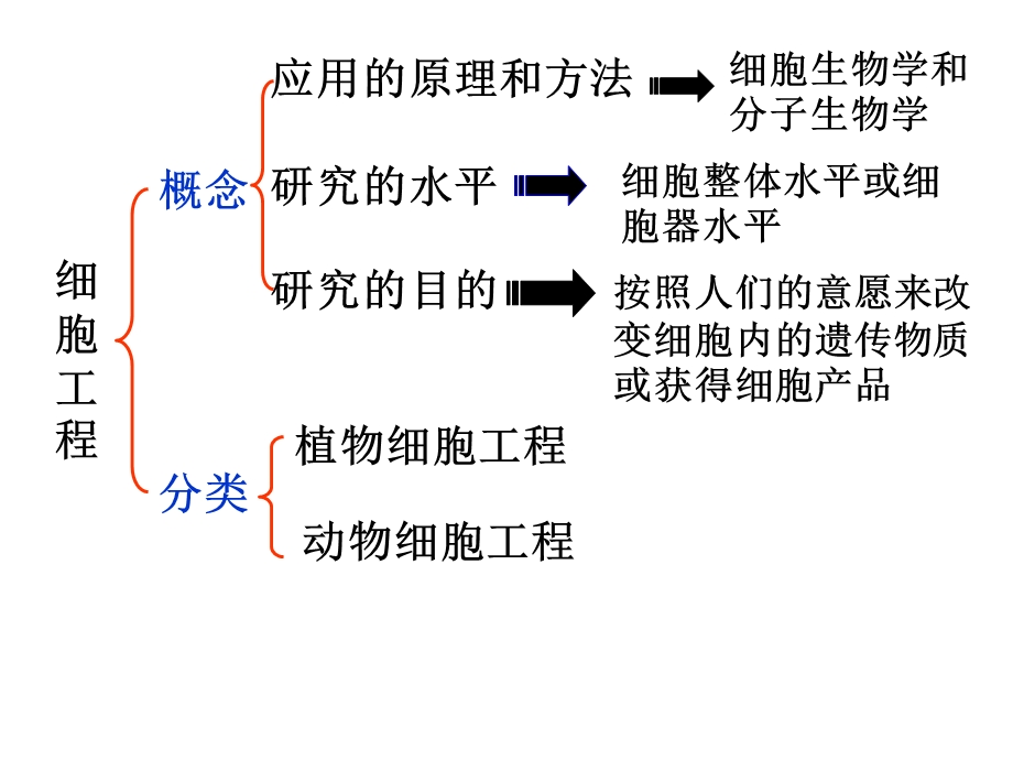 植物细胞工程和动物细胞工程.ppt_第3页