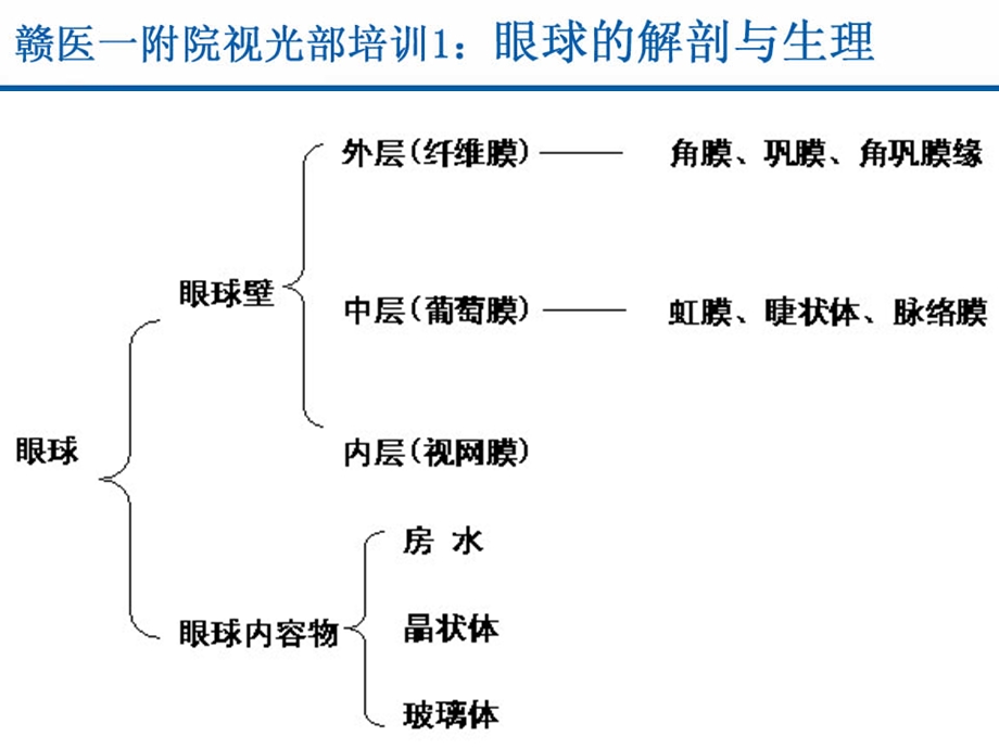 视光部系统培训1眼球结构.ppt_第3页