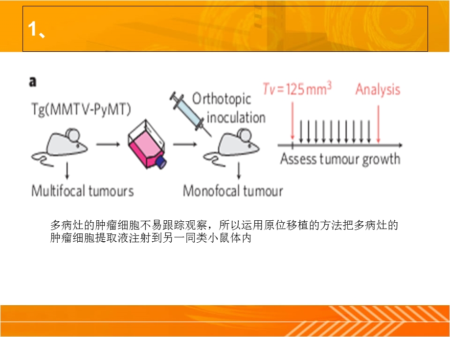 有关生物化学方面的一点知识.ppt_第2页