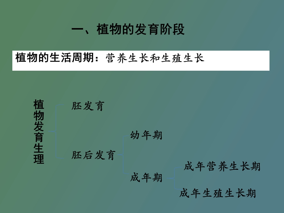 植物的成花与生殖.ppt_第3页