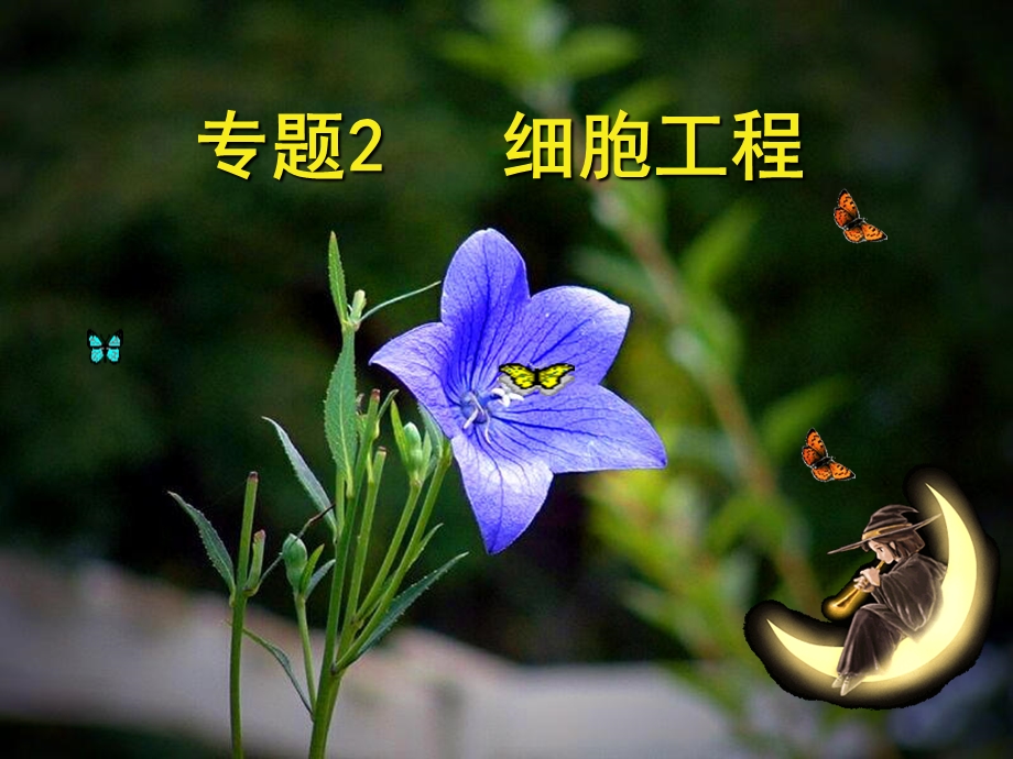 植物细胞工程(使用).ppt_第1页