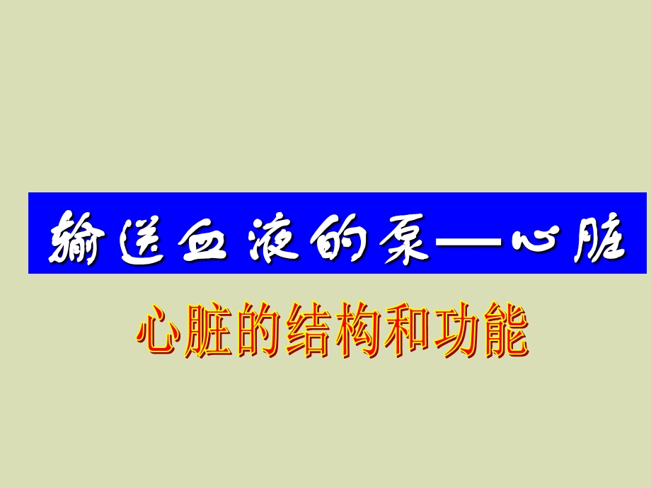 心脏基础护理.ppt_第1页