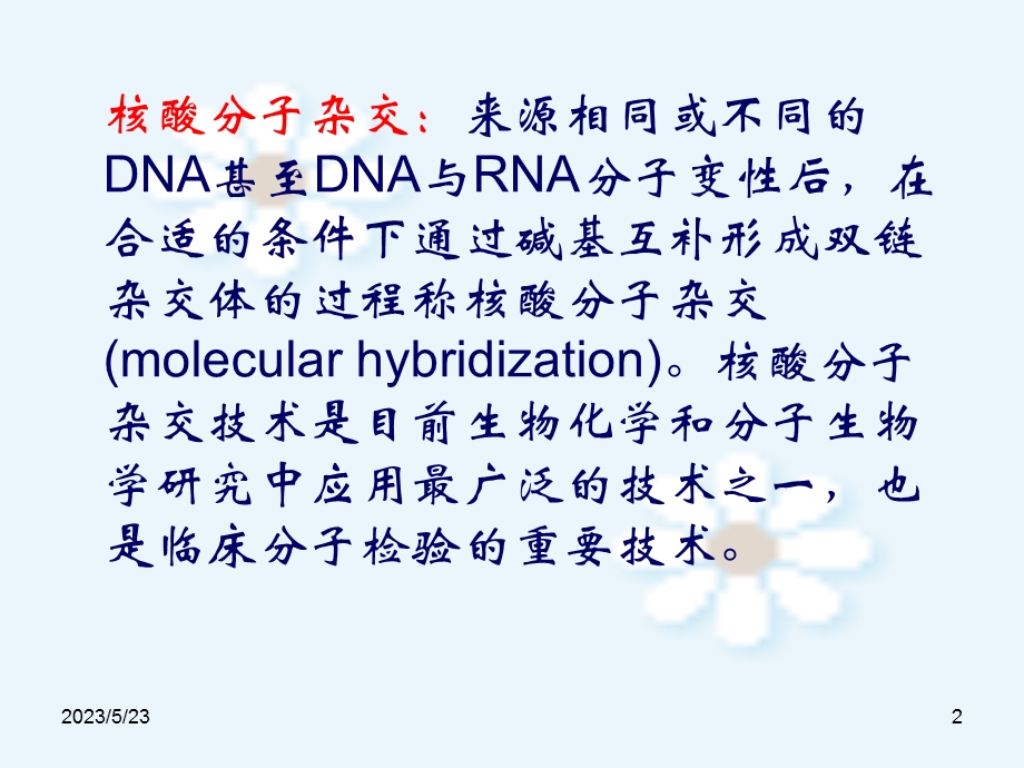 核酸分子杂交与应用.ppt_第2页