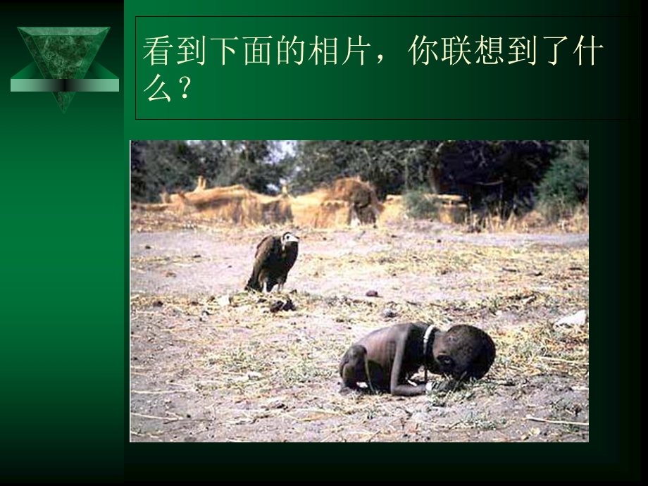 影视欣赏的主要方法.ppt_第2页