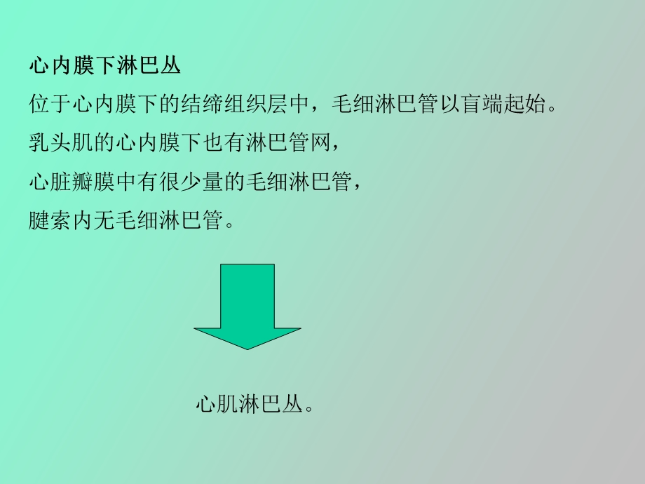 心脏淋巴心包.ppt_第2页